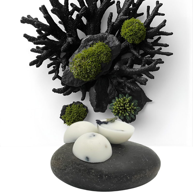 Stone & Tide Soy Wax Melts